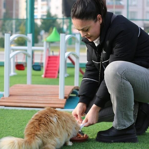 Kocasinan Belediye Başkanı Ahmet Çolakbayrakdar, Küçük Dostlar Kedi Kasabası'nı gezdi.-2