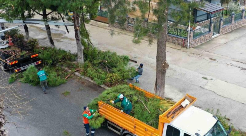 Kuşadası Belediyesi Kadıkalesi Mahallesi'nde Temizlik ve Hizmet Seferberliği 1