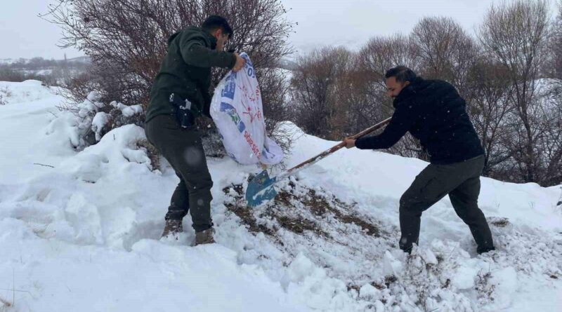 Malatya'da Kar Yağışı Yaban Hayatı Etkiledi, DKMP Ekipleri Harekete Geçti 1