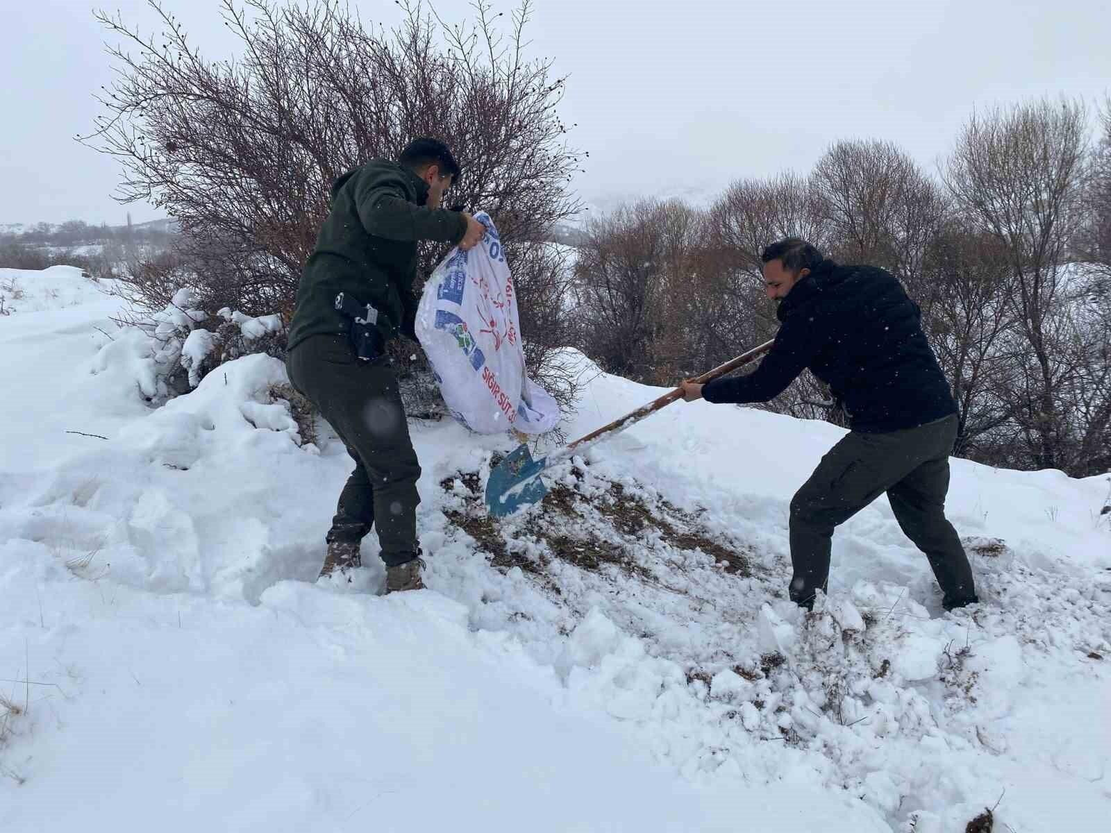 Malatya’da Kar Yağışı Yaban Hayatı Etkiledi, DKMP Ekipleri Harekete Geçti