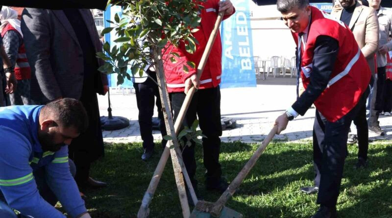 Mersin Akdeniz'de Deprem Yıldönümünde Fidan Dikim Etkinliği 1