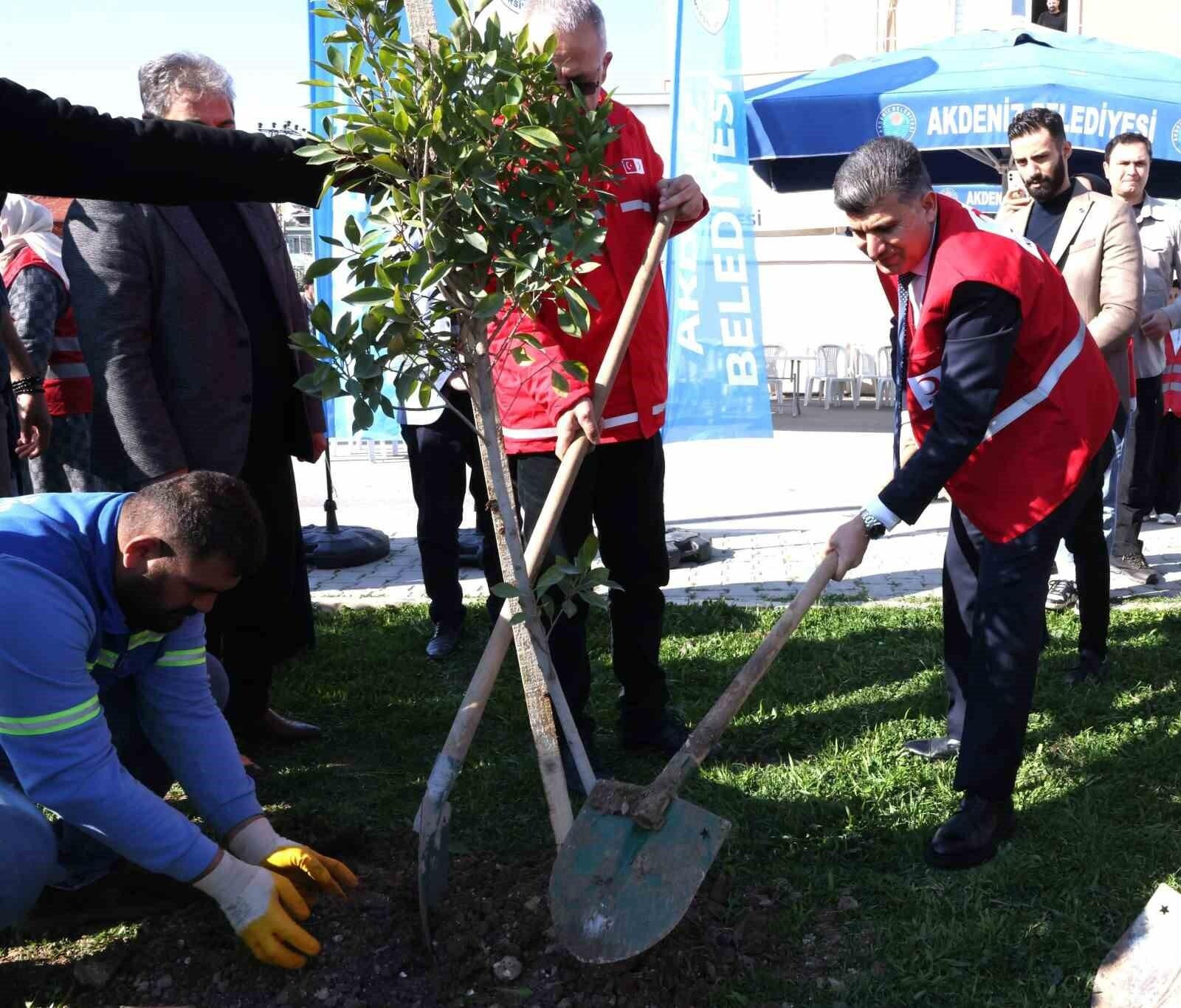 Mersin Akdeniz’de Deprem Yıldönümünde Fidan Dikim Etkinliği