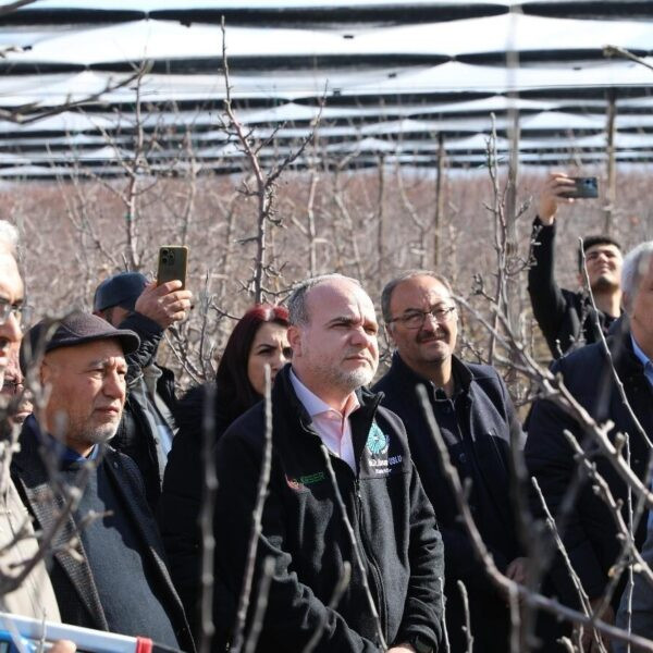 Meyve ağacı budama eğitimi-3