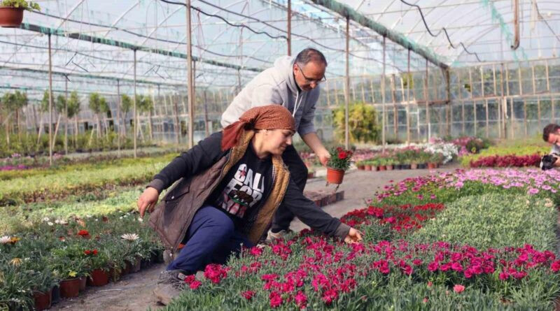 Muğla Büyükşehir Belediyesi'nin Süs Bitkisi Projesi 10 Yıldır Sürdürülebilirlik ve Ekonomik Gelişme Sağlıyor 1