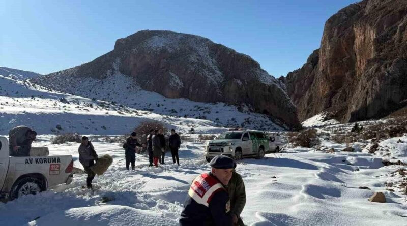 Niğde'de Yaban Hayvanları İçin Yem Bırakıldı 1