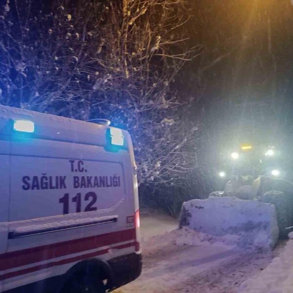 Sağlık çalışanlarının hastayı ambulansla taşıdığı görüntü-4