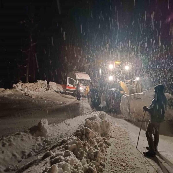 Sağlık çalışanlarının hastayı ambulansla taşıdığı görüntü-6