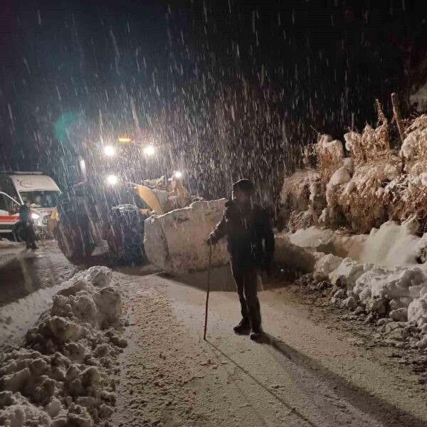 Sağlık çalışanlarının hastayı ambulansla taşıdığı görüntü-8