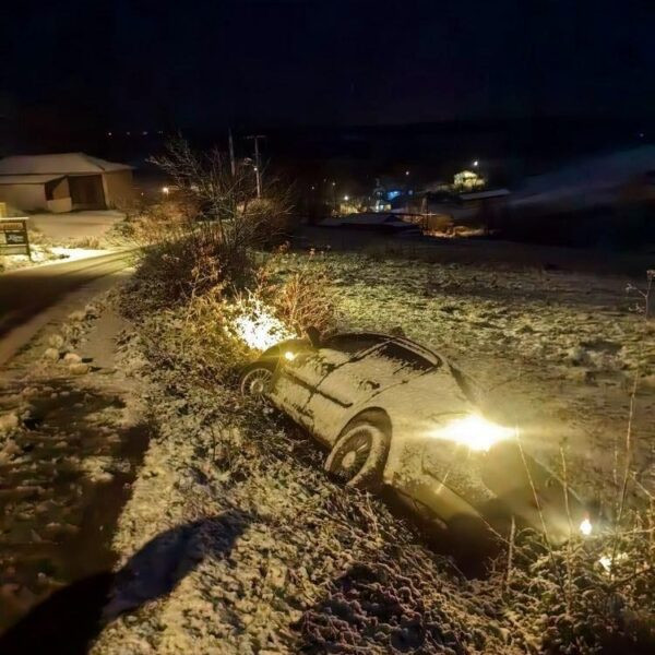 Sakarya'da karın tadını çıkartan vatandaşlar-3