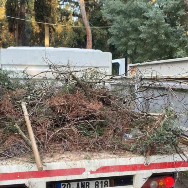 Şehir Kabristanı'nda yapılan bakım ve budama çalışmaları-2