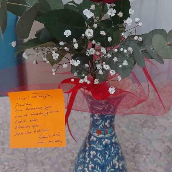 Şehit Astsubay İlhan Hamlı'nın annesi Bedriye Hamlı-2