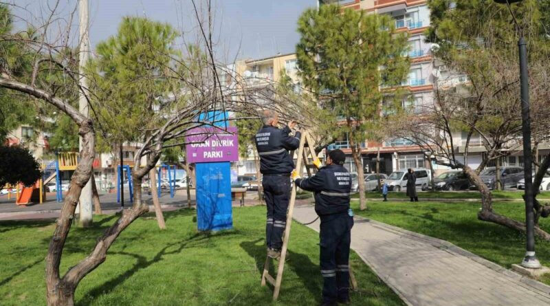 Şehzadeler Belediyesi, Park ve Yeşil Alanlarda Bakım Çalışmalarına Devam Ediyor 1