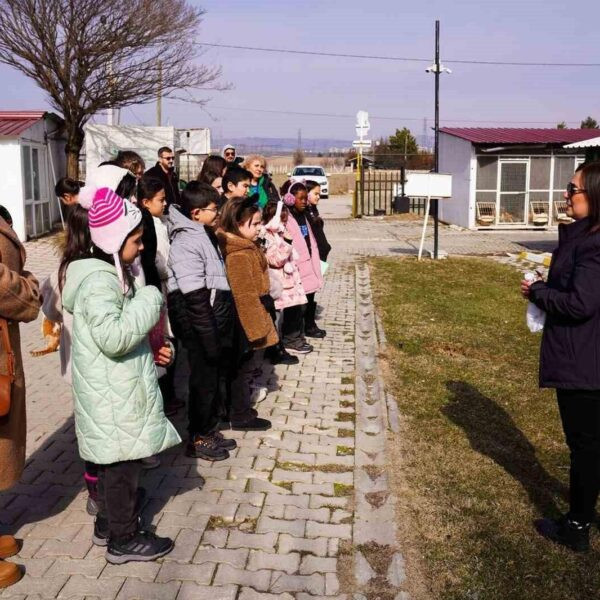 Sokak hayvanları için medikal malzeme bağışı yapan Çağfen Koleji öğrencileri.-3