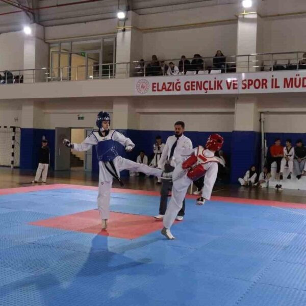 Taekwondo müsabakaları-1