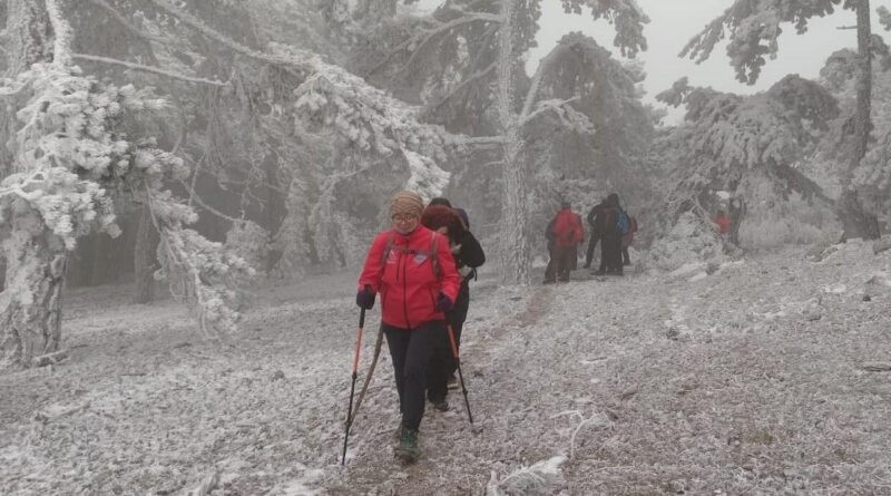 TURBELDAK, Spil Dağı'nda Sisli ve Soğuk Bir Kış Yürüyüşüyle Doğaya Dokundu 1