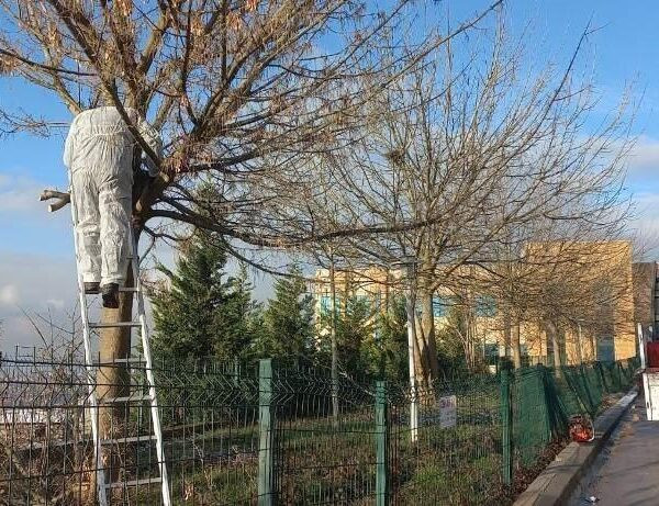 Yabani otlardan arındırılan hastane bahçesi