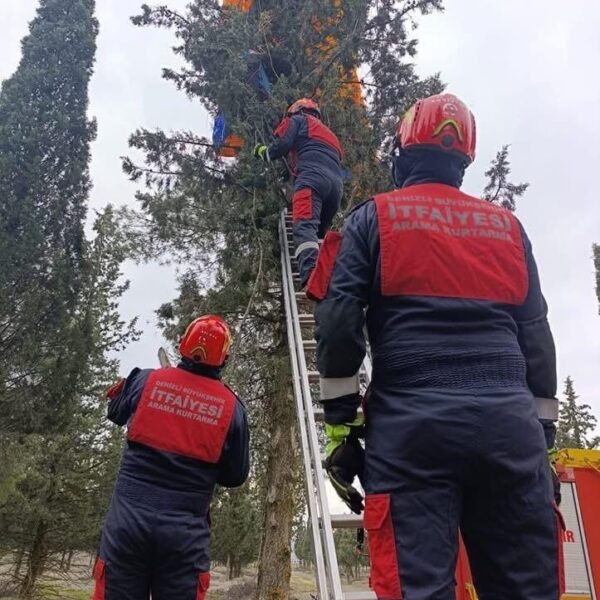 Yamaç paraşütü pilotu bir ağacın üzerinde-1