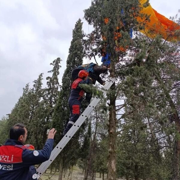 Yamaç paraşütü pilotu bir ağacın üzerinde-3