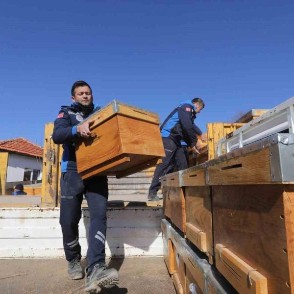 Yangın sonrası araziye fidan dikme çalışmaları.-3