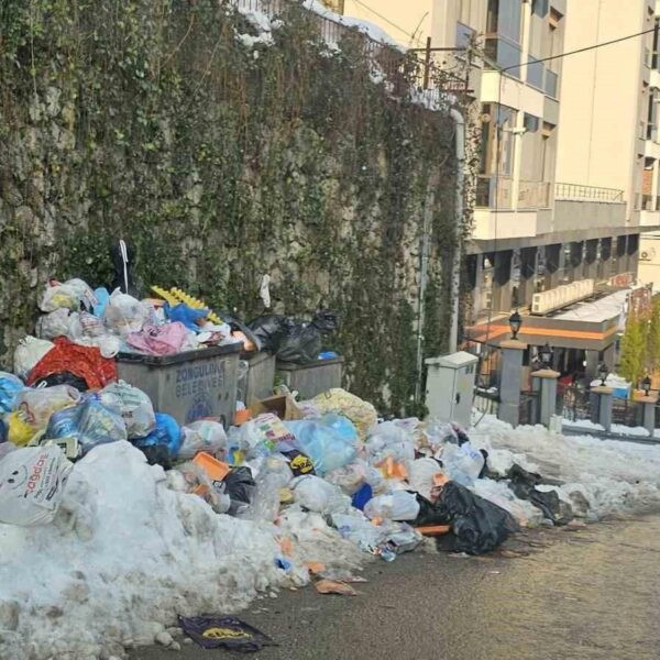 Zonguldak'ta kar sonrası çöp konteynırları-1