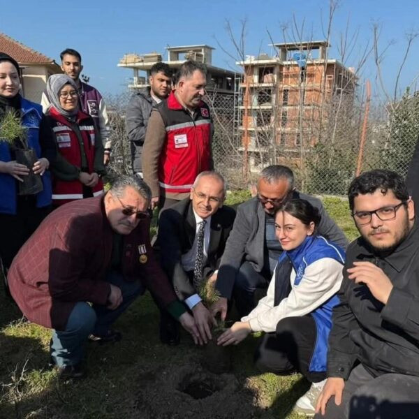 103 adet çam fidanı şehitlerin anısına toprağa kazınıyor.-2