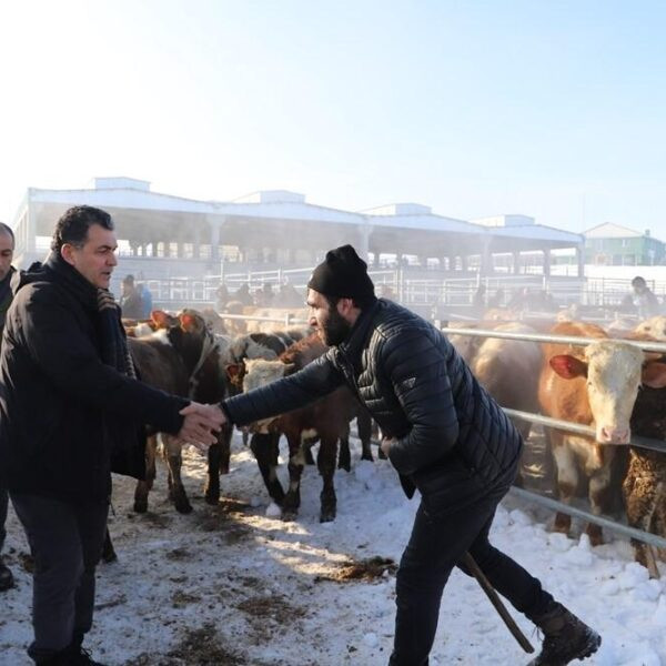 Ardahan Belediye Başkanı Faruk Demir, hayvan pazarında çiftçilerle sohbet ediyor.-1