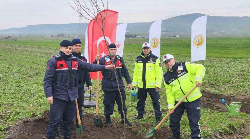 Balıkesir'de Köylüköyü Mahallesi'nde 577 Ağaç Dikildi 1