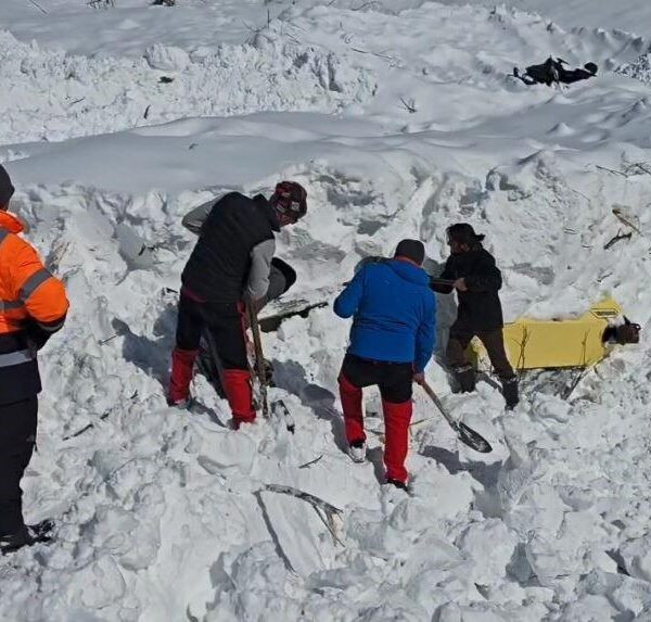 Borçka'da çığ felaketi sonucu hasar gören Karayolları tesisleri-1