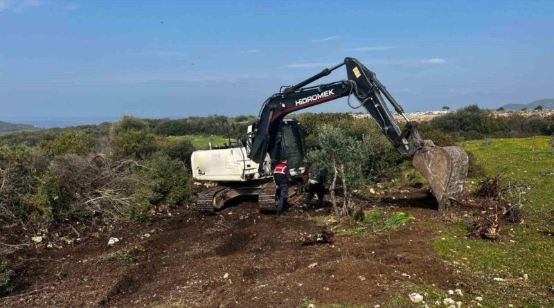 Didim'de İzinsiz Hazine Kazı Operasyonu! 3 Şüpheli Adli ve İdari İşlemle Karşı Karşıya 1