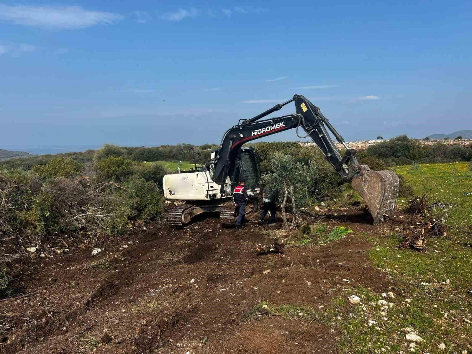 Didim’de İzinsiz Hazine Kazı Operasyonu! 3 Şüpheli Adli ve İdari İşlemle Karşı Karşıya