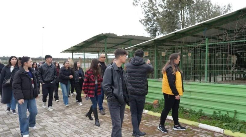 Havran Meslek Yüksekokulu Öğrencileri Burhaniye Sokak Hayvanlarını Ziyaret Etti 1