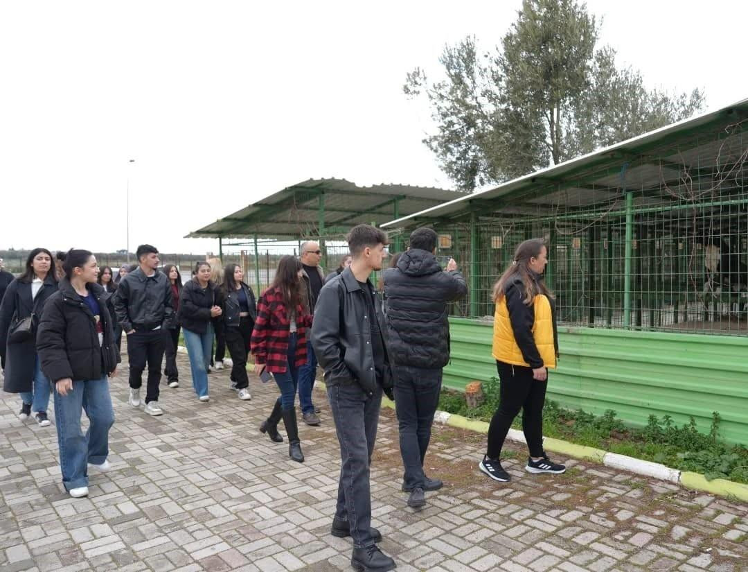 Havran Meslek Yüksekokulu Öğrencileri Burhaniye Sokak Hayvanlarını Ziyaret Etti