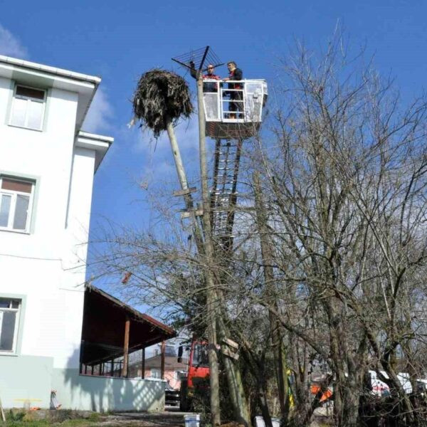 Kocaeli Büyükşehir Belediyesi ekiplerinin leylek yuvasını onarması-2