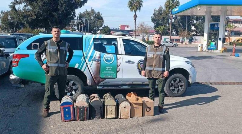 Mersin’de bahis için dövüştürülen 7 horoz koruma altına alındı 1