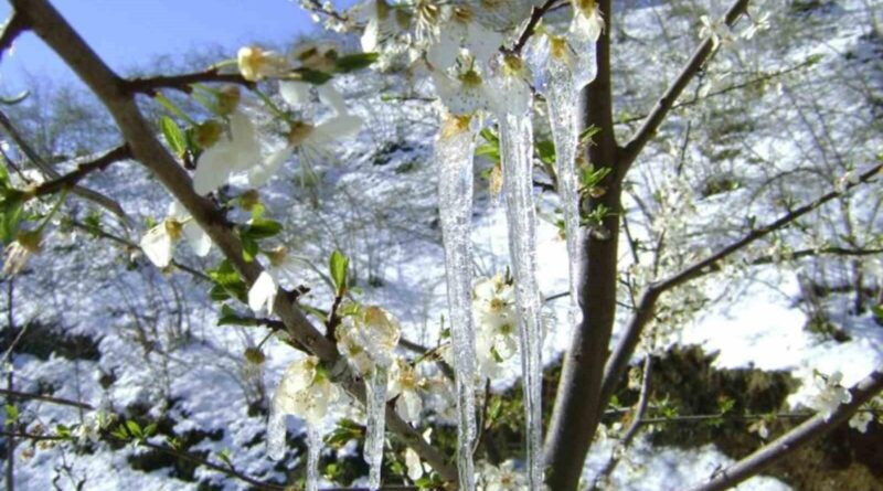 Muğla 19 Mart’tan 24 Mart’a kadar buz tutacak 1