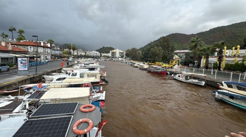 Muğla'nın Marmaris'i: Aşırı Yangınlar ve Yeniden Doğuş 1