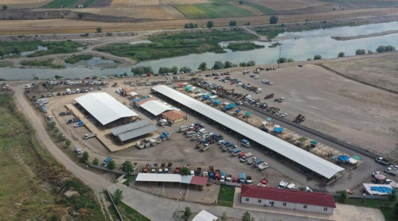 Erbaa hayvan pazarı 5 Mayıs’ta yeniden açılıyor 1