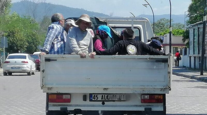 Kamyonet kasasında tehlikeli yolculuk 1