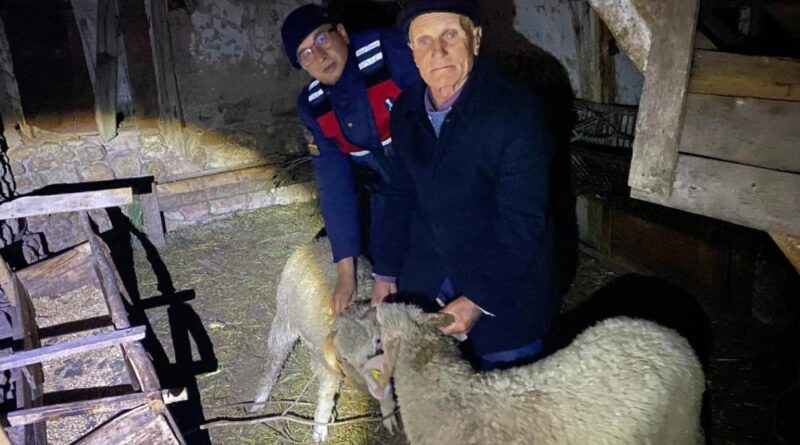 Kayıp hayvanları jandarma buldu 1
