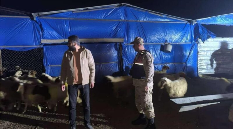 Kilis İl Jandarma Komutanlığı kayıp küçükbaş hayvanları buldu 1
