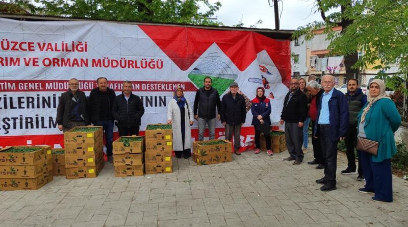 Yüzde 75’i bakanlık destekli fideler çiftçilere dağıtıldı 1